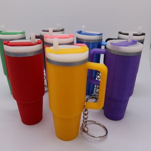 Pode incluir: Um conjunto de oito canecas de viagem coloridas com tampas e canudos. As canecas são presas a chaveiros e têm uma alça. As canecas são nas cores verde, vermelho, amarelo, azul, roxo, rosa e cinza.