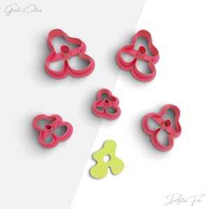 May include: Five pink flower-shaped cookie cutters and one green flower-shaped cookie cutter.  The cookie cutters are arranged on a white background.  The text "Digital File" is written in the bottom right corner of the image.