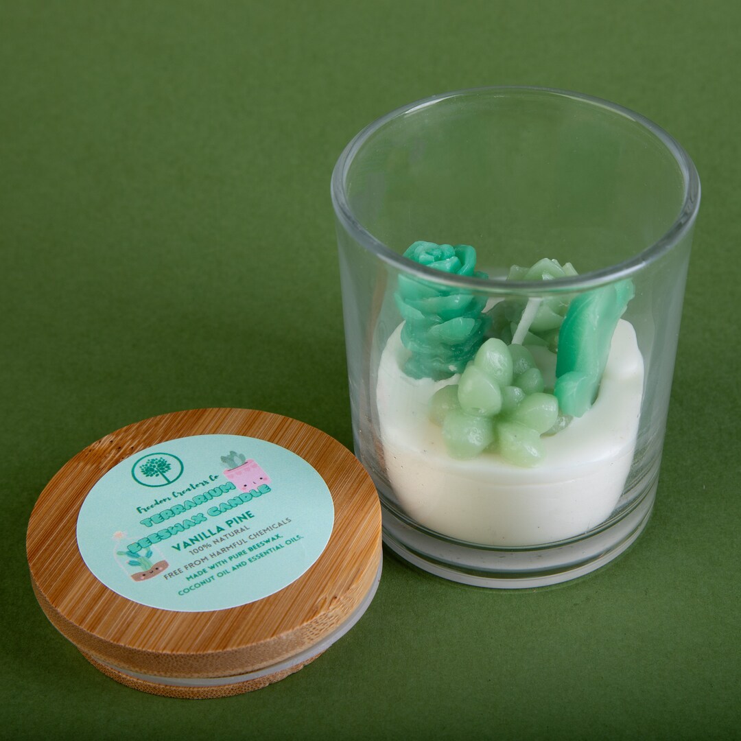 Terrarium Candle Nontoxic Beeswax Etsy New Zealand