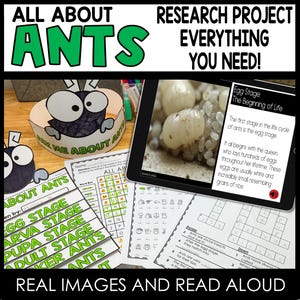 Ant Research Project: Elementary Animal Science Unit (Digital Book)