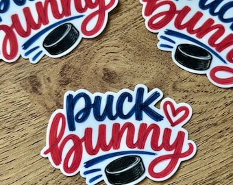 Puck Bunny Sticker | Hockey Romance Reader | Off Campus Inspired Vinyl Decal