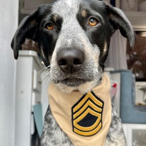 Tupac dog cheap bandana