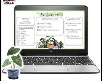 Diapositivas editables de la agenda diaria Tema de acuarela PLANTAS DE INTERIOR / Plantillas de PowerPoint / Diapositivas de reunión matutina