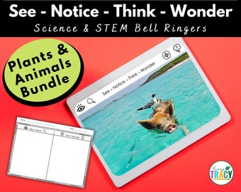 Science Activity Download | Mammals | Birds | Reptiles | Amphibians | Invertebrates | Fish | Homeschool Science | Science for Kids