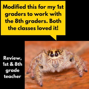 Creature Catcher Spider Web Halloween STEM Challenge Activity Download Homeschool Science Activity image 8