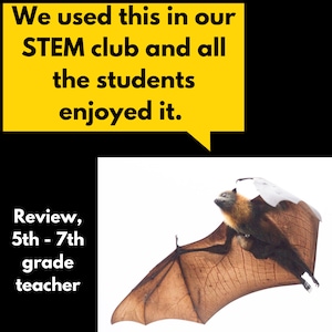Bat Wings Wanted Halloween STEM Challenge Activity Download image 6