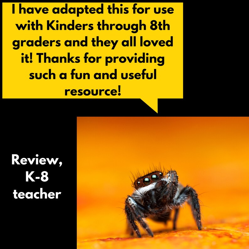 Creature Catcher Spider Web Halloween STEM Challenge Activity Download Homeschool Science Activity image 7
