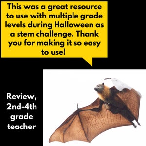 Bat Wings Wanted Halloween STEM Challenge Activity Download Homeschool Science Activity image 5