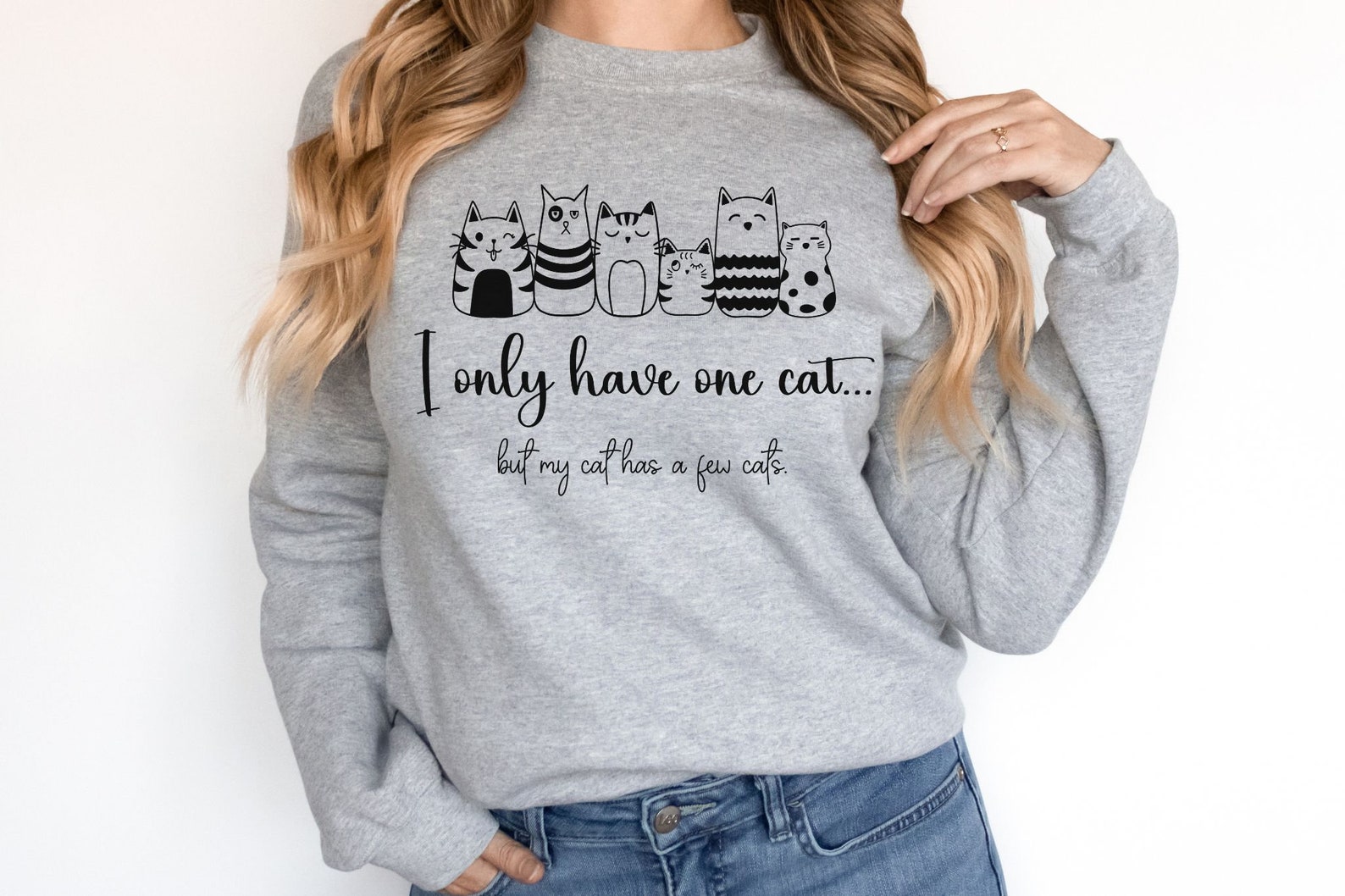 I Only Have One Cat Sweatshirt Funny Cat Lover Sweatshirt Etsy