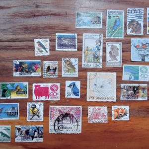 Vintage 25 animal postal used historic square and rectangular stamps 60s, 70s, 80s, 90s and 00s, Collectible postal stamps