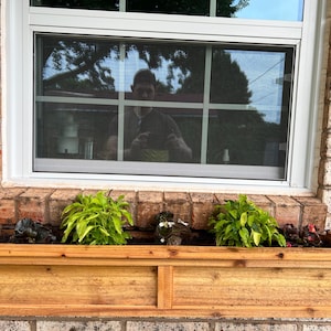 May include: A rectangular wooden window box planter with a natural light brown finish and a paneled front design. The planter is filled with dark soil and contains several small green leafy plants and a few dark-coloured flowers planted inside.