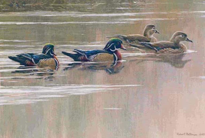 1987 Signed & Numbered Hurricane Wood Ducks with 1 Stamp by Artist Robert Bateman