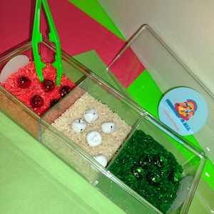 Christmas Themed Activity Play Sensory Sorting Container