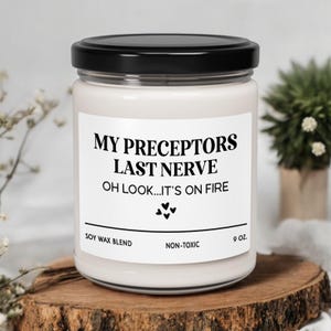 Preceptor Soy Candle: Funny Nurse Appreciation Gift, 9oz