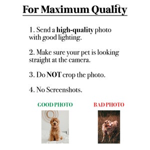 Op de afbeelding: Twee foto's van honden, een is een goed voorbeeld van een foto voor een huisdierportret, de andere is een slecht voorbeeld. De goede foto toont een hond die op een bed zit en recht in de camera kijkt. De slechte foto toont een hond die door hoog gras rent en wegkijkt van de camera.