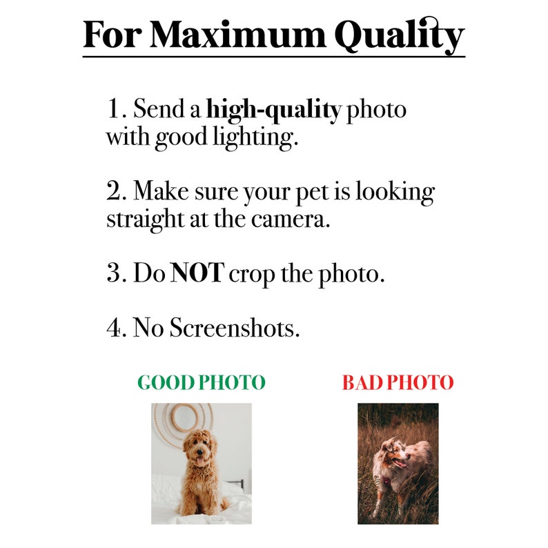 Op de afbeelding: Twee foto's van honden, een is een goed voorbeeld van een foto voor een huisdierportret, de andere is een slecht voorbeeld. De goede foto toont een hond die op een bed zit en recht in de camera kijkt. De slechte foto toont een hond die door hoog gras rent en wegkijkt van de camera.
