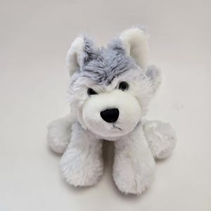 May include: A plush husky dog toy with gray and white fur. The toy has a black nose, black eyes, and white paws. The stuffed animal is sitting upright and facing forward.