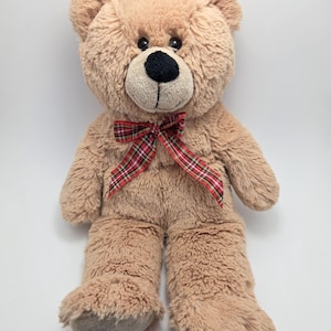 Build a Bear - Winter Wishes Teddy Bear Plush (12 inch)