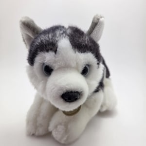 May include: A plush husky dog toy with a black and gray patterned head and ears, and a white face and body. The toy has blue eyes and a black nose. The dog is lying down on a white surface.