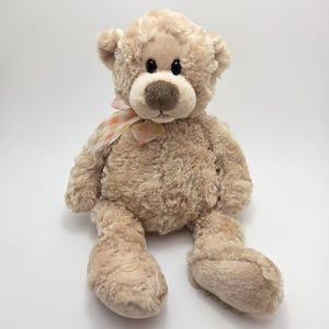Gund Vintage &quot;Milo&quot; the Teddy Bear Vintage Collectible! (10 inch)