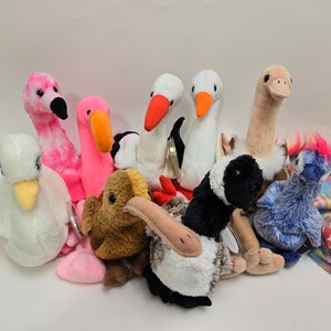 Ty Beanie Baby Birds - Ty Beanie Babies (6 inch) Vintage Beanies