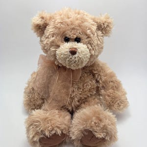 Gund Corin the Teddy Bear Plush Soft, Vintage Collectible! (10 inch)