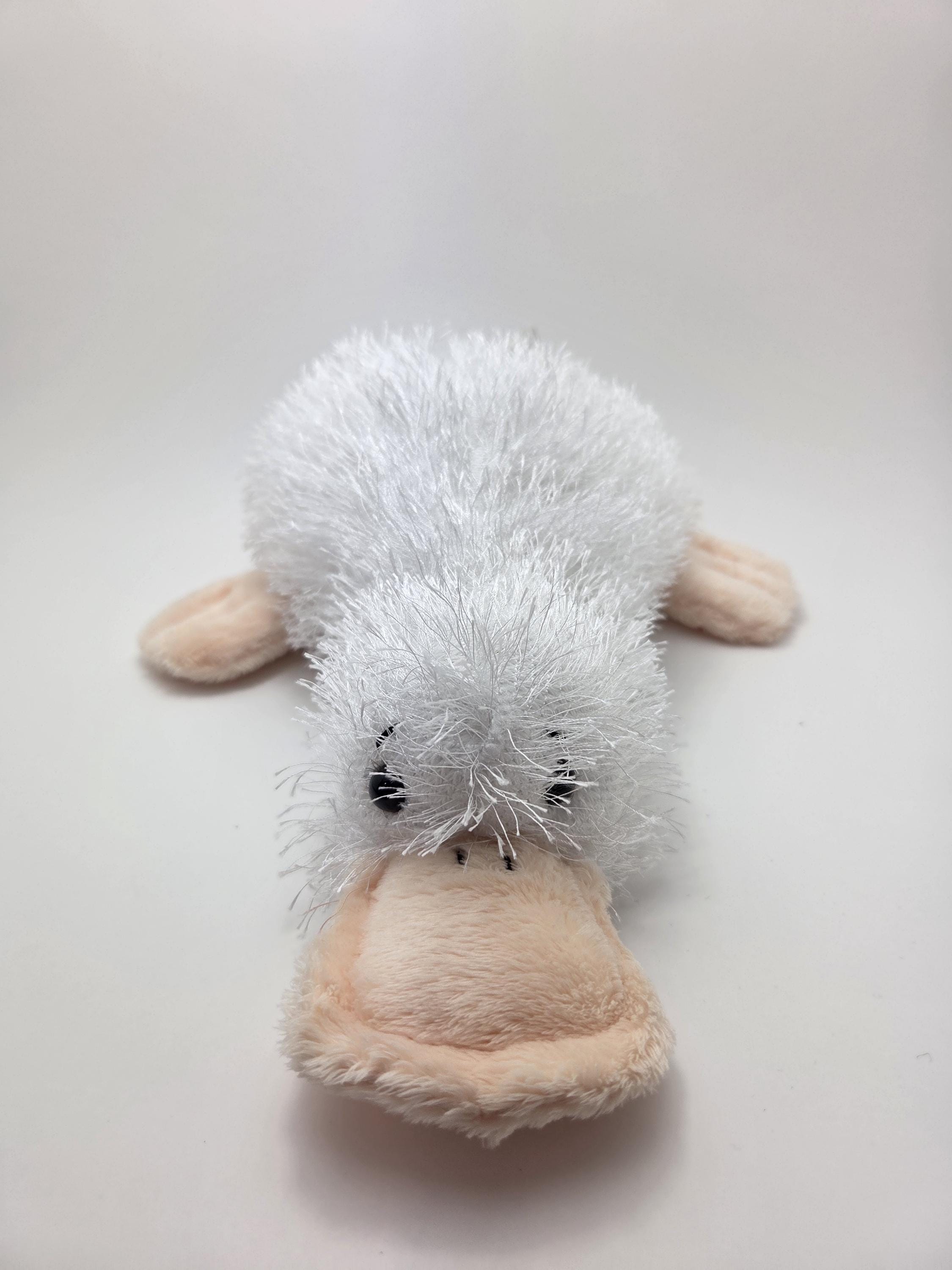 Webkinz Googles Australia