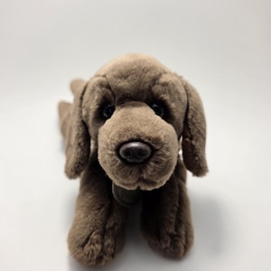 May include: A brown plush dog toy with a dark brown nose and floppy ears. The soft toy is lying down, facing the viewer, with a small collar. The toy is made of a soft, fuzzy material and is set against a white background.