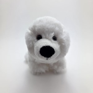 Könnte beinhalten: Ein weißer Plüschwelpe mit flauschiger Textur. Das Stofftier hat schwarze Augen und eine schwarze Nase. Der Hund sitzt aufrecht auf einer weißen Oberfläche.