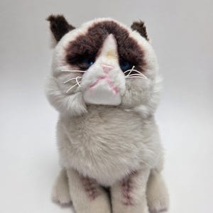 Könnte beinhalten: Ein Plüschtier eines mürrischen Katers mit braunem und weißem Fell, blauen Augen und einer rosa Nase. Die Katze sitzt mit den Pfoten unter dem Körper.