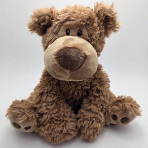 Gund Grahm the Teddy Bear Plush Soft, Vintage Collectible! (12 inch)