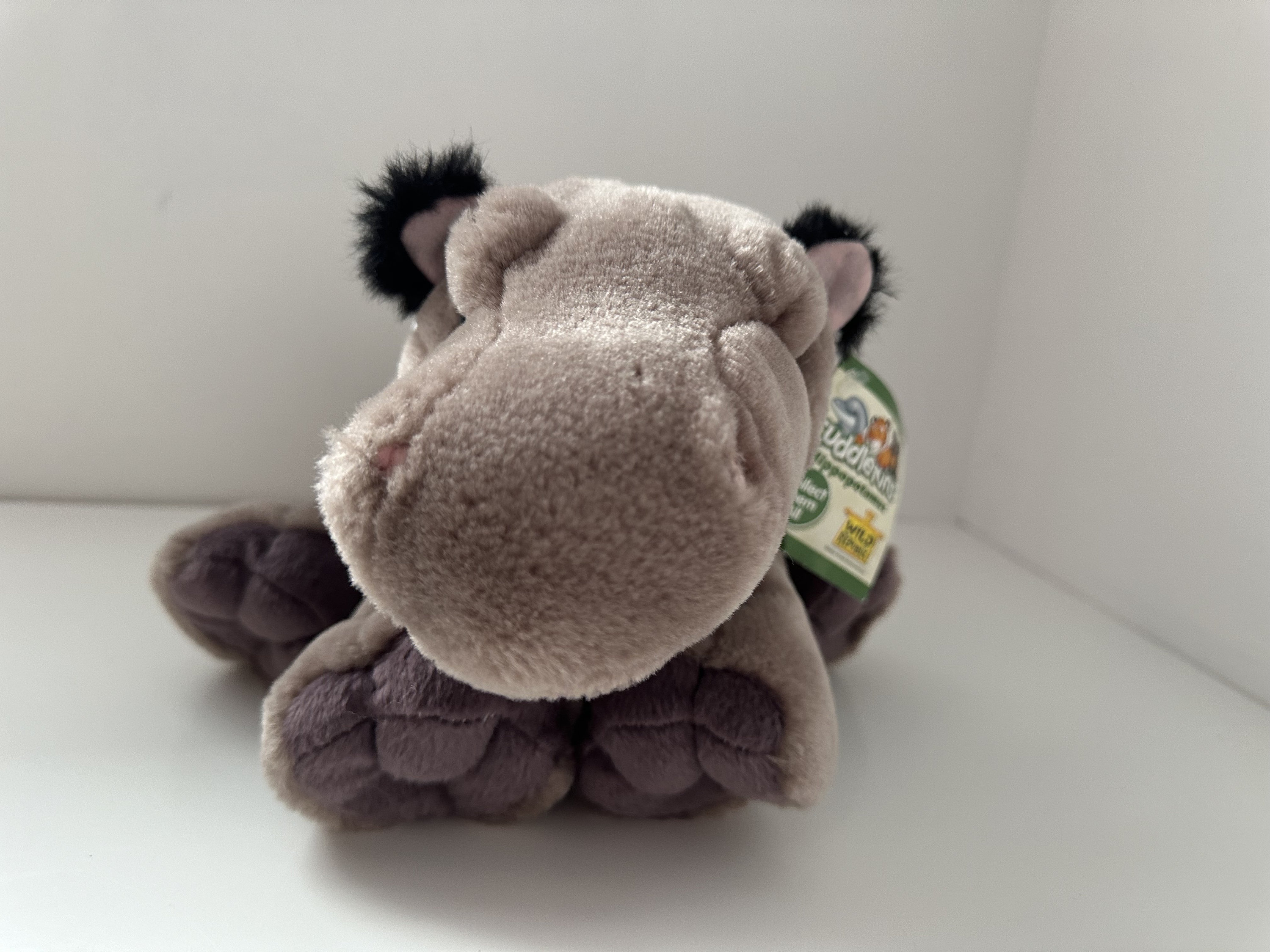 Cuddlekins Hippo Wild Republic Plush (10 Inch) - Etsy