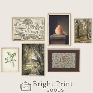 Vintage Gallery Wall Set | Cottagecore Decor | Gallery Wall Prints Set of Six | PRINTABLE Wall Art