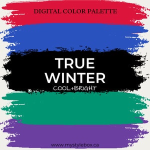True (Cool) Winter Season Digital Color Palette