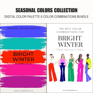 Bright Winter Season Digital Color Palette and Color Combinations Bundle