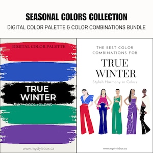 True Winter Season Digital Color Palette and Color Combinations Bundle