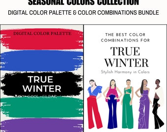 True Winter Season Digital Color Palette and Color Combinations Bundle