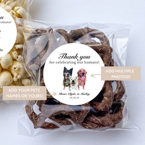 Customizable DIY Pet Themed Wedding Favor |Doggie Goodie Bag|Snack Wedding Favor|2.5 Inch Labels and 4x6 Clear Bags|Dog Wedding Favor