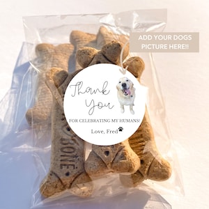 Personalizable Picture Dog Treat Wedding Favors|Doggie Goodie Bag|Thank You for Celebrating my Humans|Personalized Sticker and Treat Bags