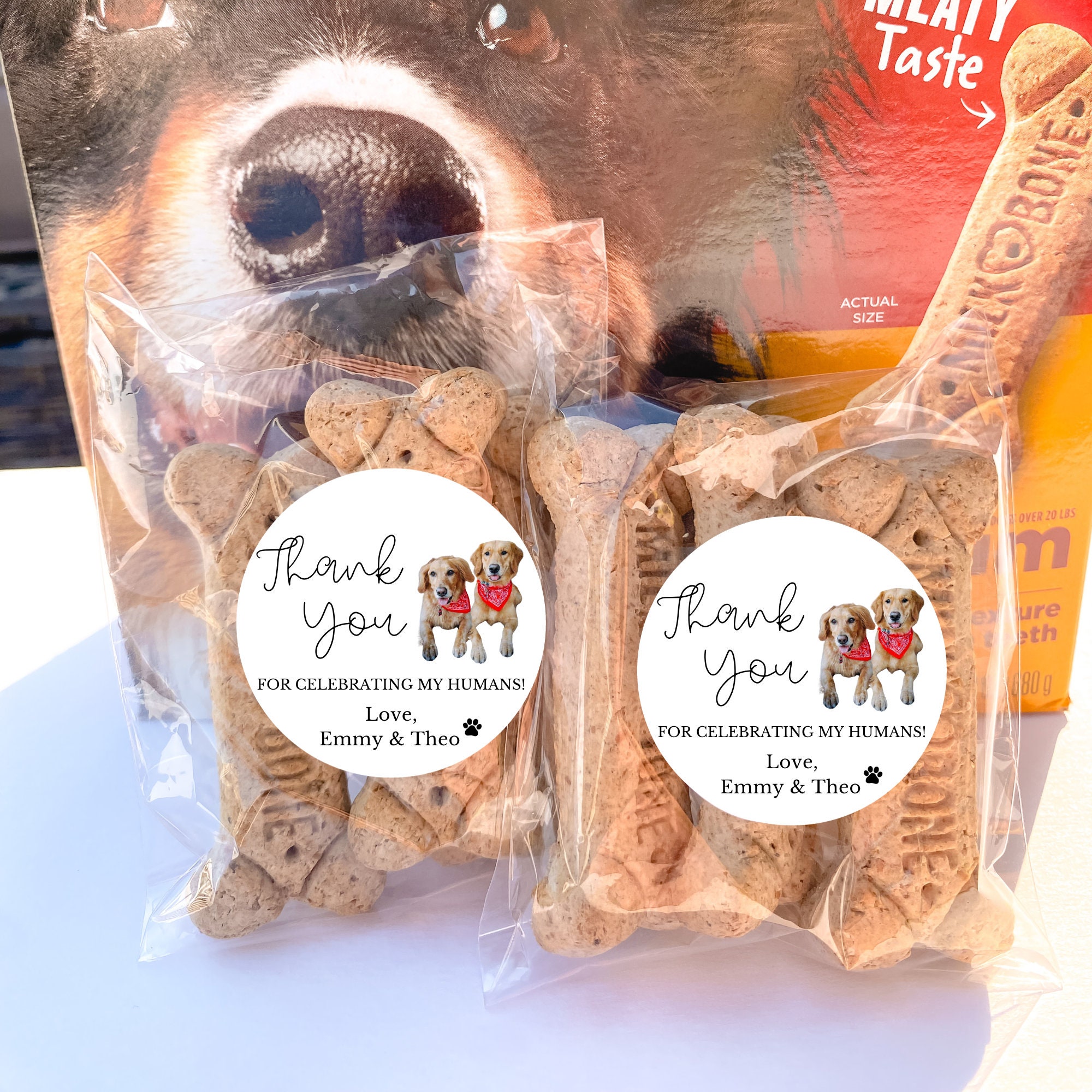 Personalizable Picture Dog Treat Wedding Favors|Doggie Goodie Bag|Thank You for Celebrating my Humans|Personalized Sticker and Treat Bags