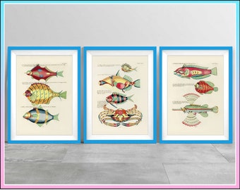 Colorful Minimalist Underwater Sea life Fishes Crab Wall Art for Home Decor and Gifts | Nautical Minimalist Art Prints | Fishes Crab Posters