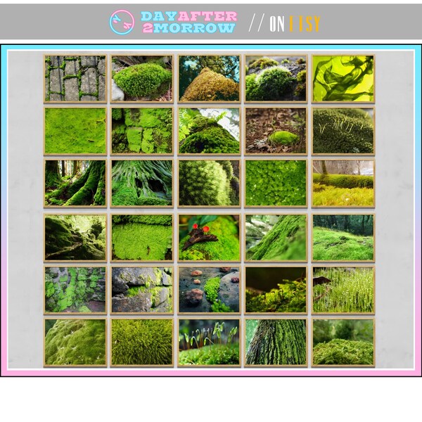 Moss Gallery Prints Etsy