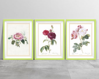 Vintage Pink Flower Prints Set of 3 | Rose Wallpaper | Floral Decor | Gift for Her | Pink White Green Wall Art | Botanical Art | Spring