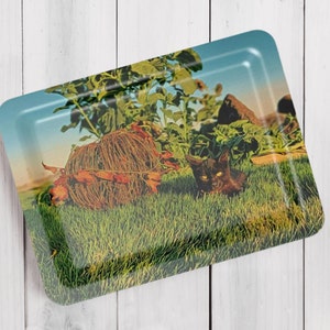 Plastic Black Cat Tray, Made in the UK, Fall Themed Kitten Tea Tray, Scratchproof Serving Tray, Cute Coffee Table Décor, Animal Lover Gift image 3