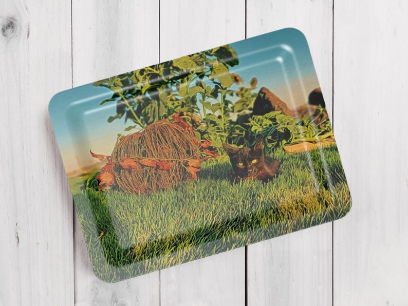 Plastic Black Cat Tray, Made in the UK, Fall Themed Kitten Tea Tray, Scratchproof Serving Tray, Cute Coffee Table Décor, Animal Lover Gift image 3