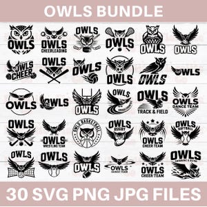 Ga uilen svg, uilen svg, uilen trots, uilen mascotte svg, middelbare school uilen sport sublimatie svg, uilen school geest Cheer moeder, uil svg