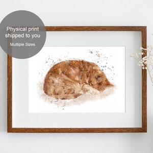 Orange Tabby Katze Aquarell Kunstdruck - Ginger Cat Wandkunst - Wand-Dekor - Aquarell Wandkunst Drucke - Ungerahmter Druck