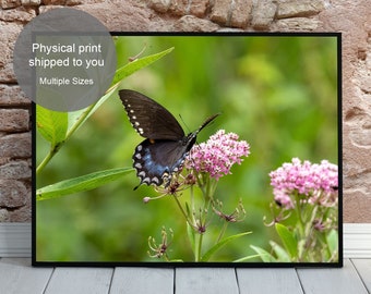 Schmetterling Fotografie Druck - Natur Wand Kunst - Wand-Dekor - Tierfotografie - Ungerahmt Druck