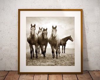 5 Horses - Sepia Horse Photography Print Wall Art