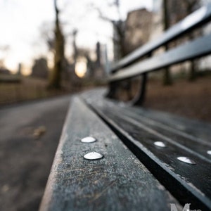 Central Park Bench; Central Park New York, New York; Original, Matted Fine Art Photography Print, New York City